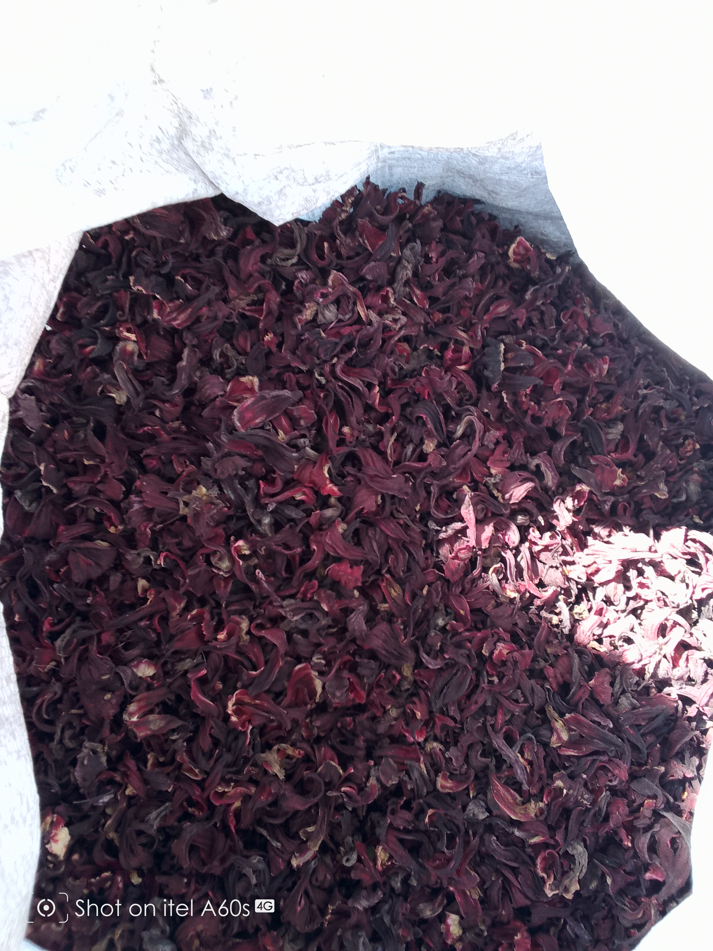 Rosella hibiscus